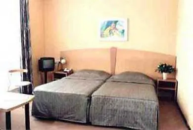 Nes Hotell 3*